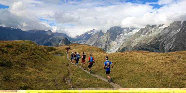 Alpi