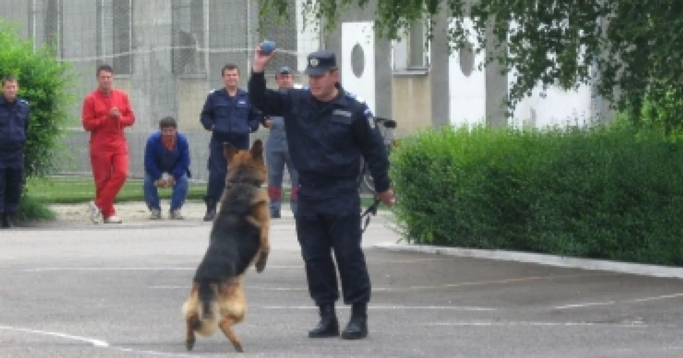 Oradea: Senzații tari pentru copii de 1 Iunie (GALERIE FOTO + VIDEO)
