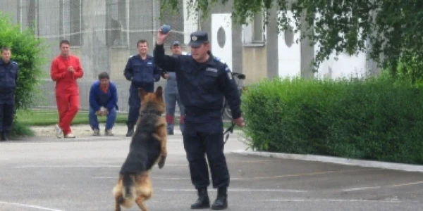 Oradea: Senzații tari pentru copii de 1 Iunie (GALERIE FOTO + VIDEO)