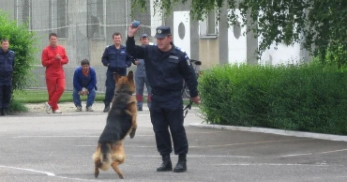 Oradea: Senzații tari pentru copii de 1 Iunie (GALERIE FOTO + VIDEO)