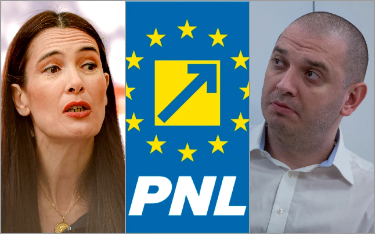 Colaj Clotilde Armand, sigla PNL, Radu Mihaiu FOTO Mediafax si Inquam Photos