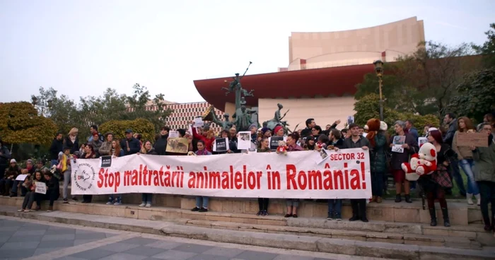 protest ursulet universitate Florin Ghioca