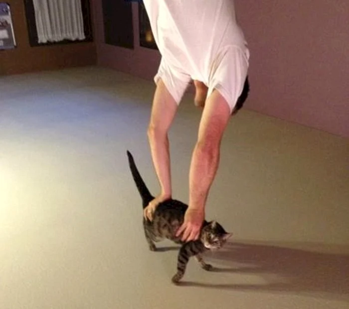 Fotografia a fost de fapt întoarsă cu susul în jos, bărbatul fiind cel care ține pisica pe tavan