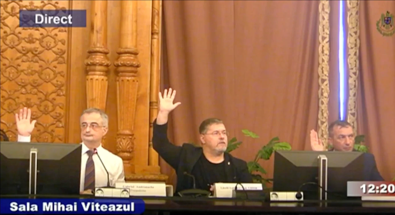 Comisia speciala pentru legile justiției Foto: Captură Ecran - Facebook Camera Deputaților