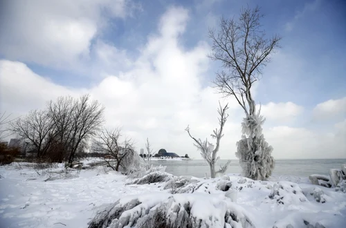 Vortex polar - Chicago - SUA / FOTO EPA - EFE / 30 ian 2019