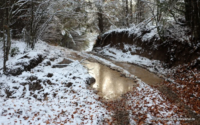 Topirea zăpezilor scoate la iveală problemele de infrastructură cu care se confruntă localnicii din satele de munte ale Hunedoarei. Foto: Daniel Guţă. ADEVĂRUL