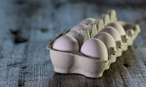 cofraj oua   foto pixabay monicore jpg