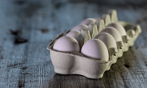 cofraj oua foto pixabay monicore jpg