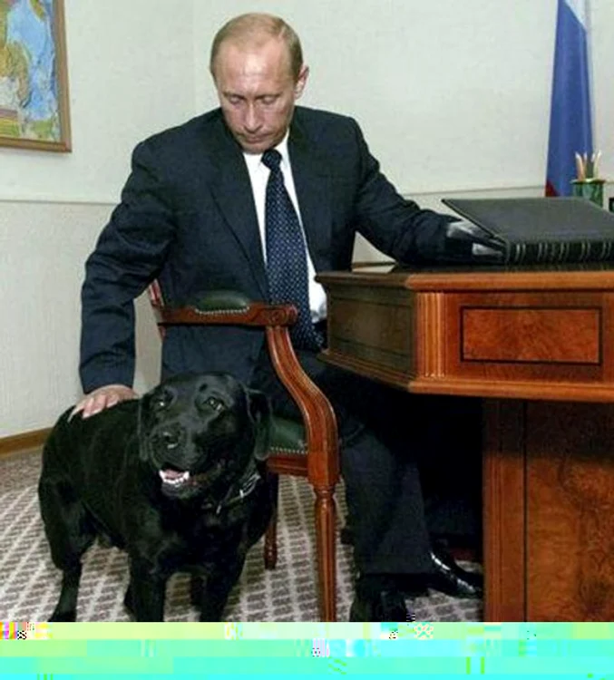 Vladimir Putin își ia labradorul la întrevederile oficiale