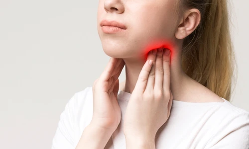 2 shutterstock 1371548546 jpg jpeg