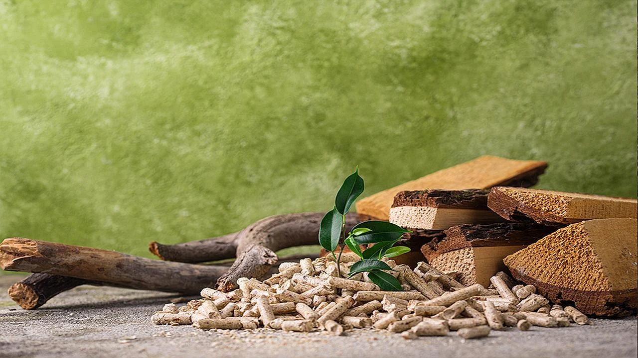 Cum alegi corect între peleți, lemne, gaz sau electric pentru încălzirea locuinței