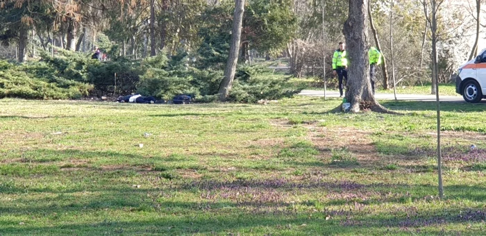 Persoană decedată în Parcul Botanic din Timişoara