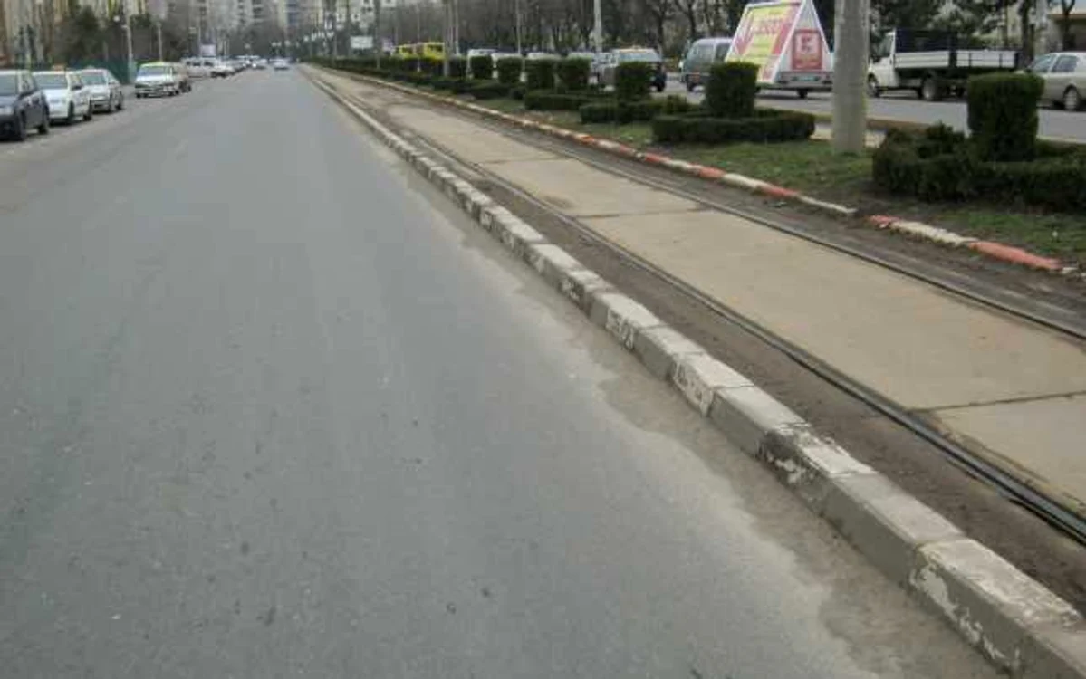 Arbuştii vor fi replantaţi în alte zone sau mutaţi în pepinierele de la Spaţii Verzi. FOTO SGU