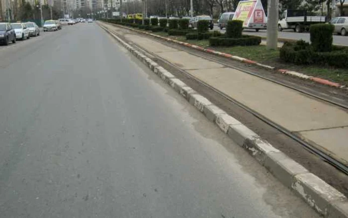 Arbuştii vor fi replantaţi în alte zone sau mutaţi în pepinierele de la Spaţii Verzi. FOTO SGU