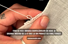 EXPO Găteala Tivurilor   POSTER jpg