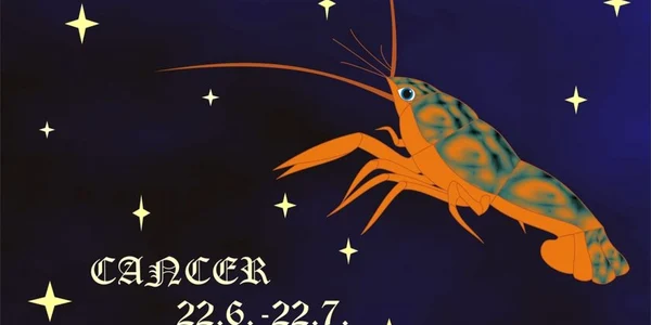 5 zodii care suflă şi-n iaurt atunci când iubesc. Nu există om mai precaut ca Racul