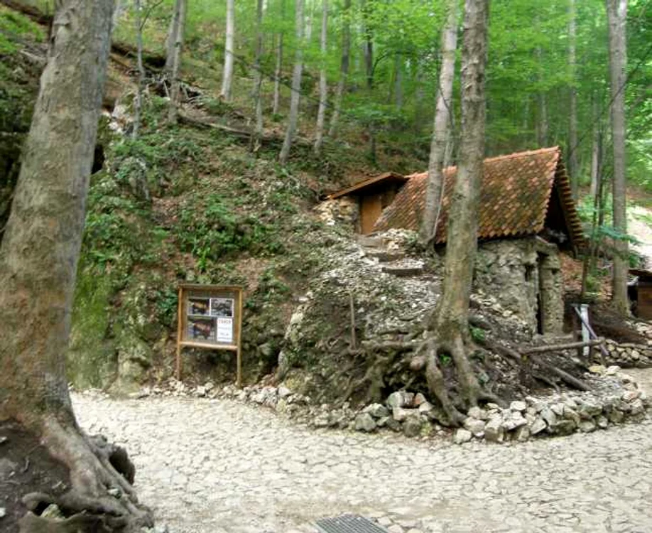 Peştera Valea Cetăţii