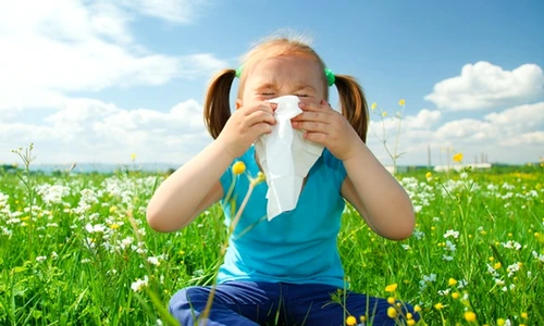 1 67998 original jpg jpeg