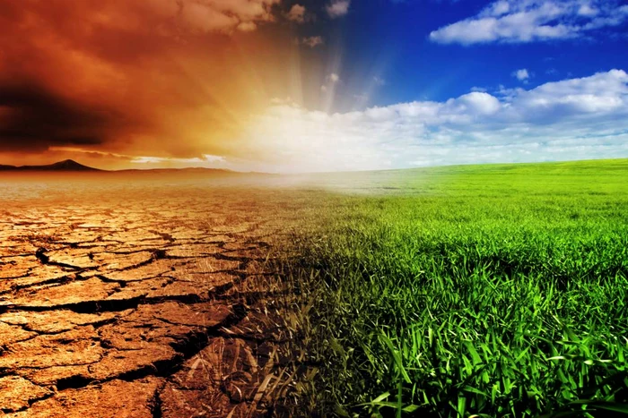 Teren pe jumătate verde, pe jumătate ars de soare, imagine care sugerează schimbările climatice