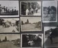 album ladislau schwartz jpg