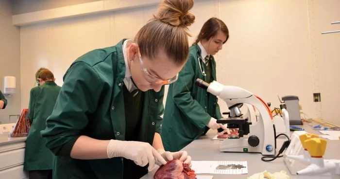 Imagine dintr-un laborator al Transylvania College, o şcoală privată din Cluj FOTO Transylvania College