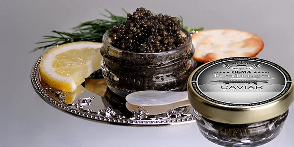 beluga caviar luxury food jpg jpeg