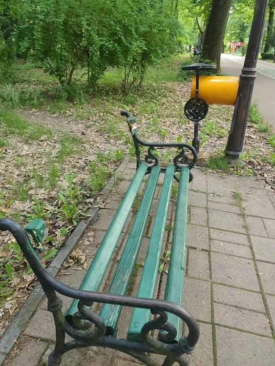
    Amalia Năstase și Tudor Chirilă au atras atenția cu privire la dezastrul din Parcul Herăstrăufoto: Click!  