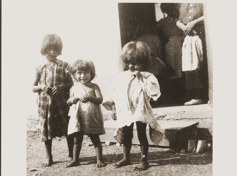 Holocaustul romilor: „Să fie raşi, tunşi şi sterilizaţi. Cu prima generaţie, am scăpa de ei“