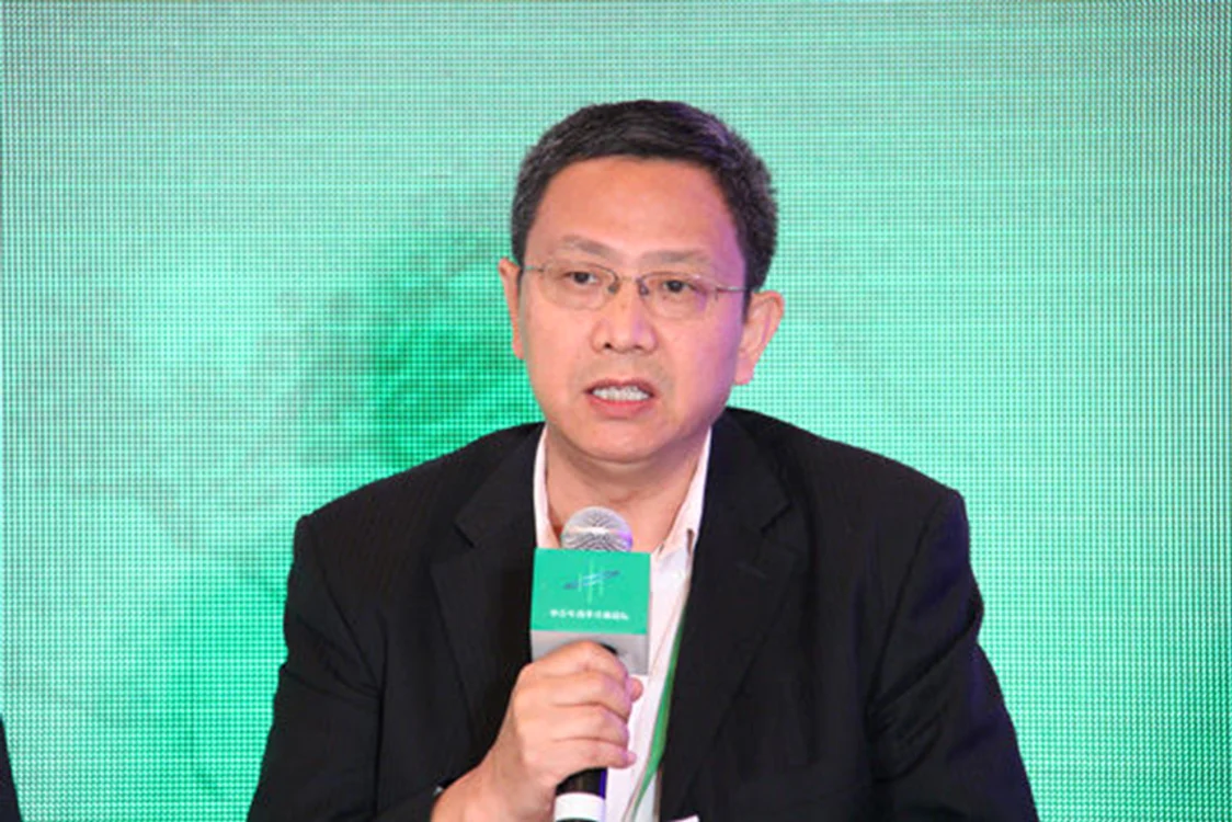 Jia Kang (贾康), fost director al Institutului de Finanțe, Ministerul Finanțelor