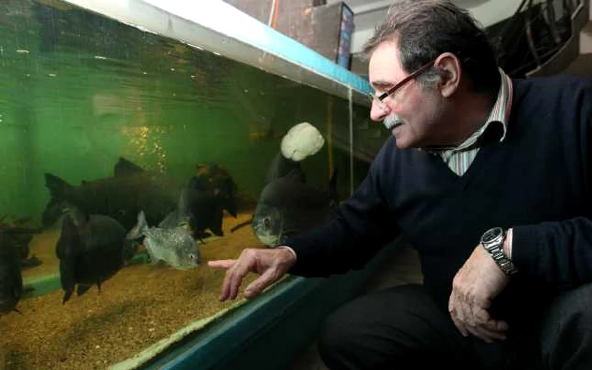 Muzeografii ne arată un exemplar de piranha, Foto: Bogdan Dimofte
