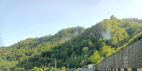 Coloana de maşini pe sensul Sibiu-Râmnicu Vâlcea în zona Proieni - Brezoi duminică 8 mai Foto Daciana Stoica