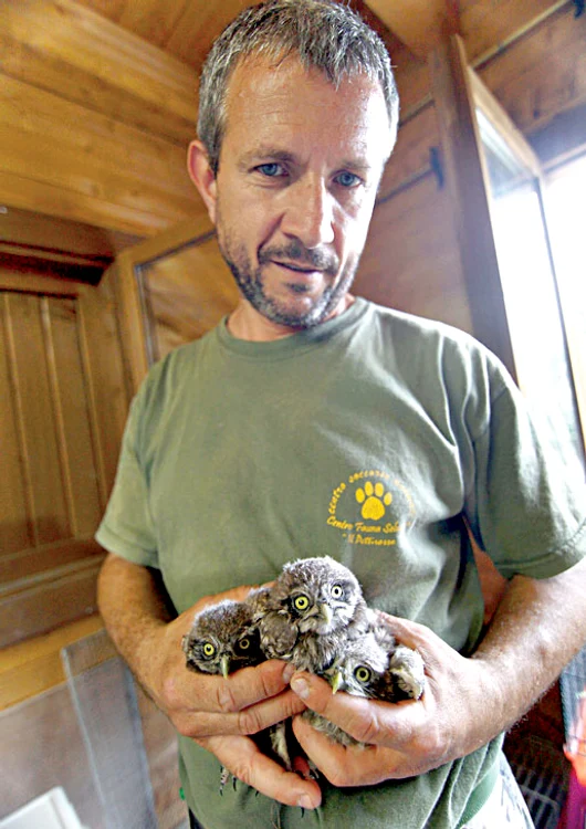 A salvat trei pui  de bufniţă dintr-un garaj  dărâmat la cutremur