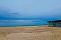 plaja Costinesti igienizata  jpg