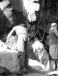 Munţii Apuseni (Roşia Montană) – Transportul minereului de aur la şteampuri. Fotografie din perioada interbelică realizată de Bazil Roman (© iMAGO Romaniae)