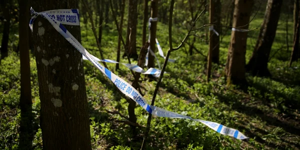 Scenă a crimei în pădure FOTO SHUTTERSTOCK
