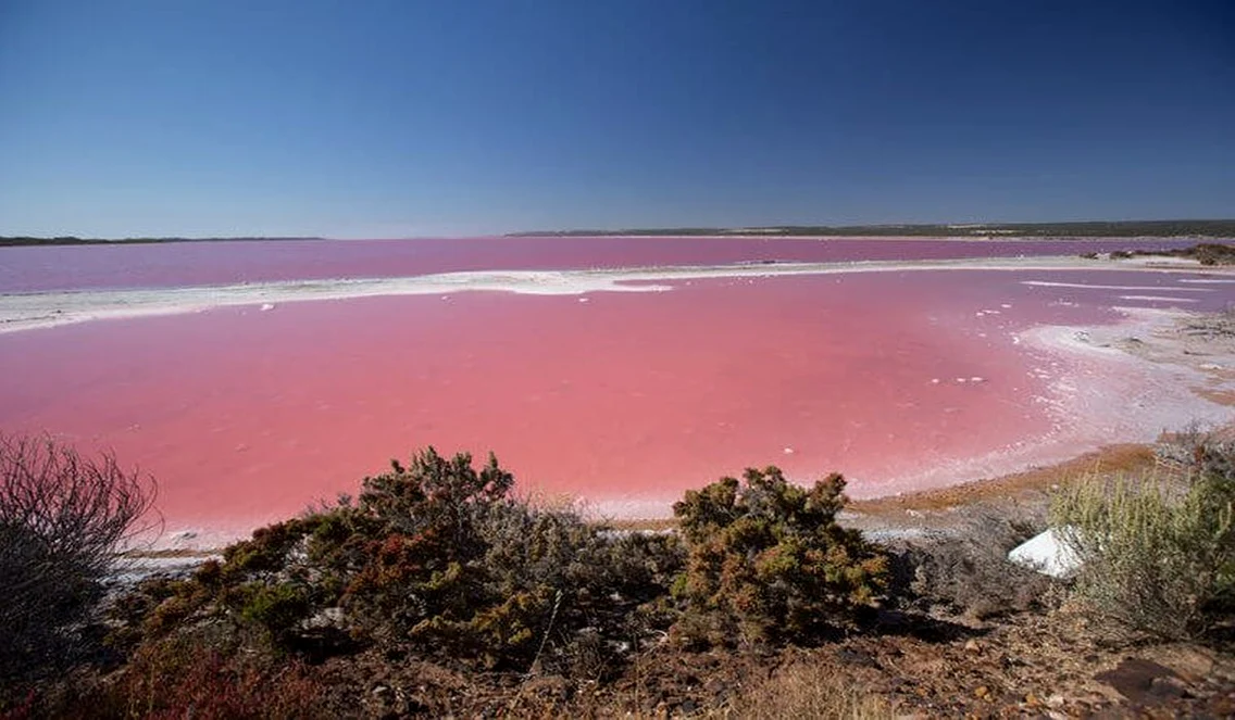 Hutt Lagoon, Australia  jpeg
