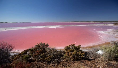 Hutt Lagoon, Australia  jpeg