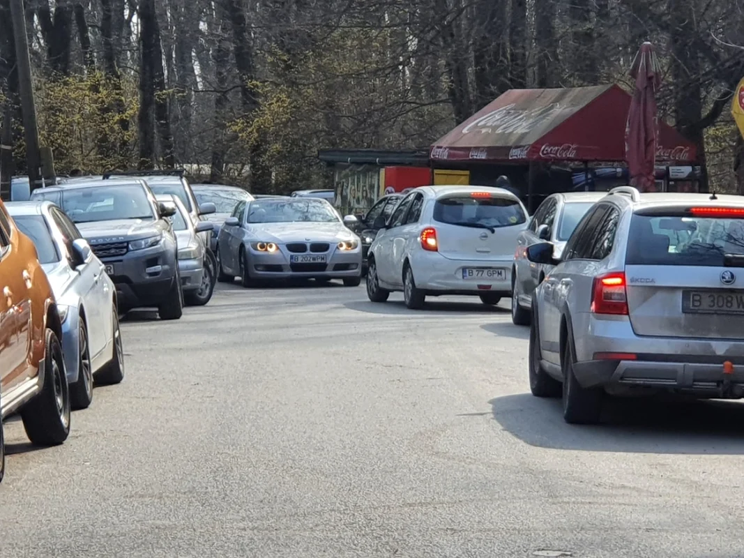 Aglomeraţie la terase în zona pădurii Băneasa 28 martie 2021 FOTO Adevarul