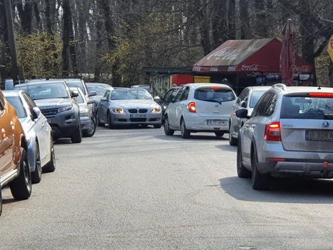 Aglomeraţie la terase în zona pădurii Băneasa 28 martie 2021 FOTO Adevarul