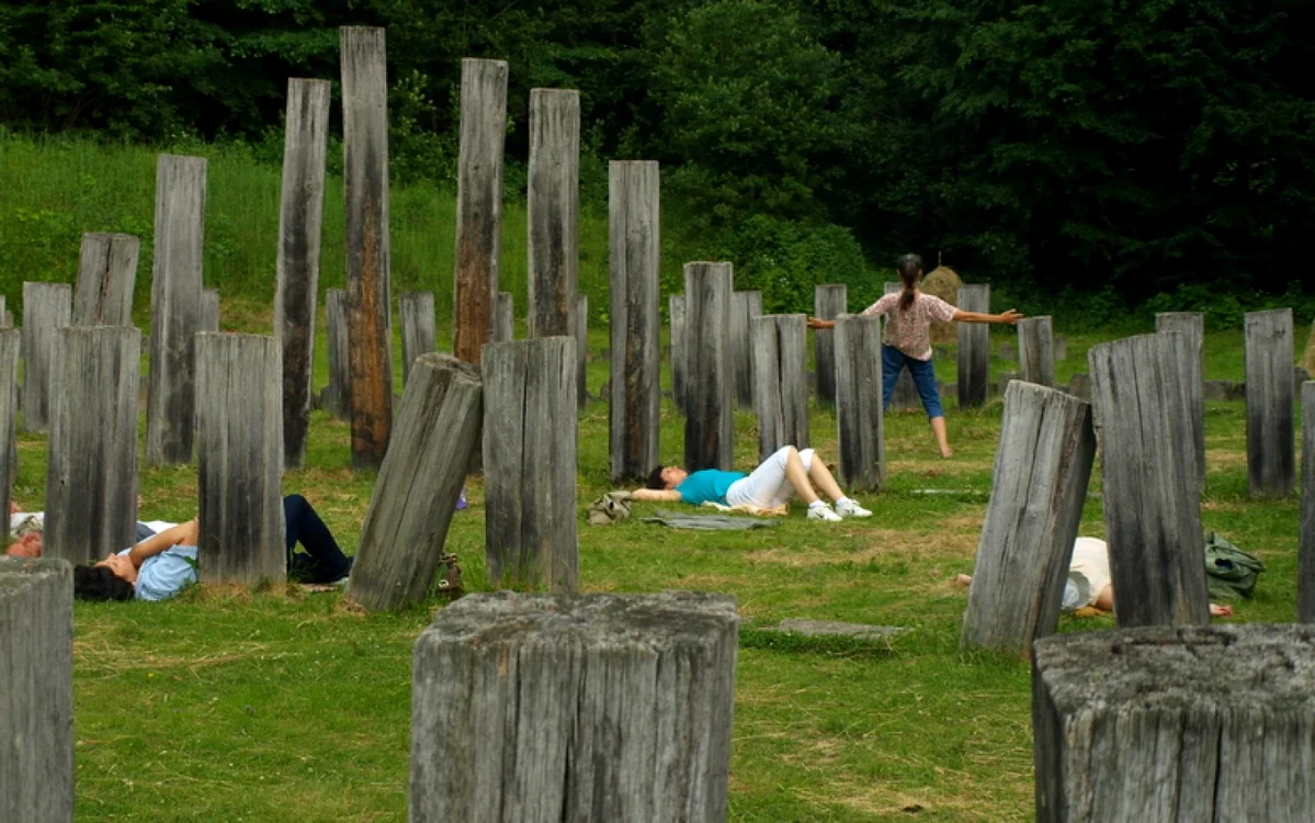 sarmizegetusa regia in trecut foto daniel guta adevarul