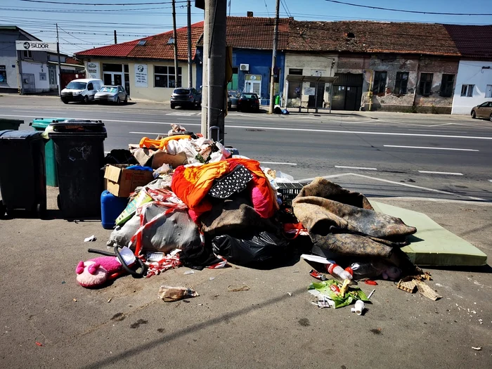 Deșeuri în Timișoara FOTO PLT