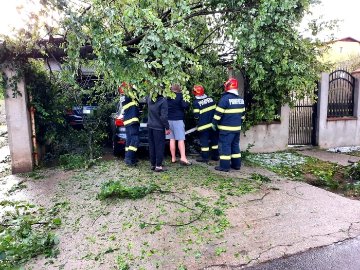 copaci cazuti urtuna giurgiu foto isu giurgiu