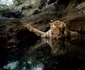 national geographic 125 de ani foto national geographic