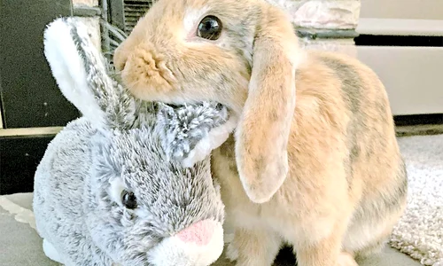 i122 foto1 135 120 profimed jpeg