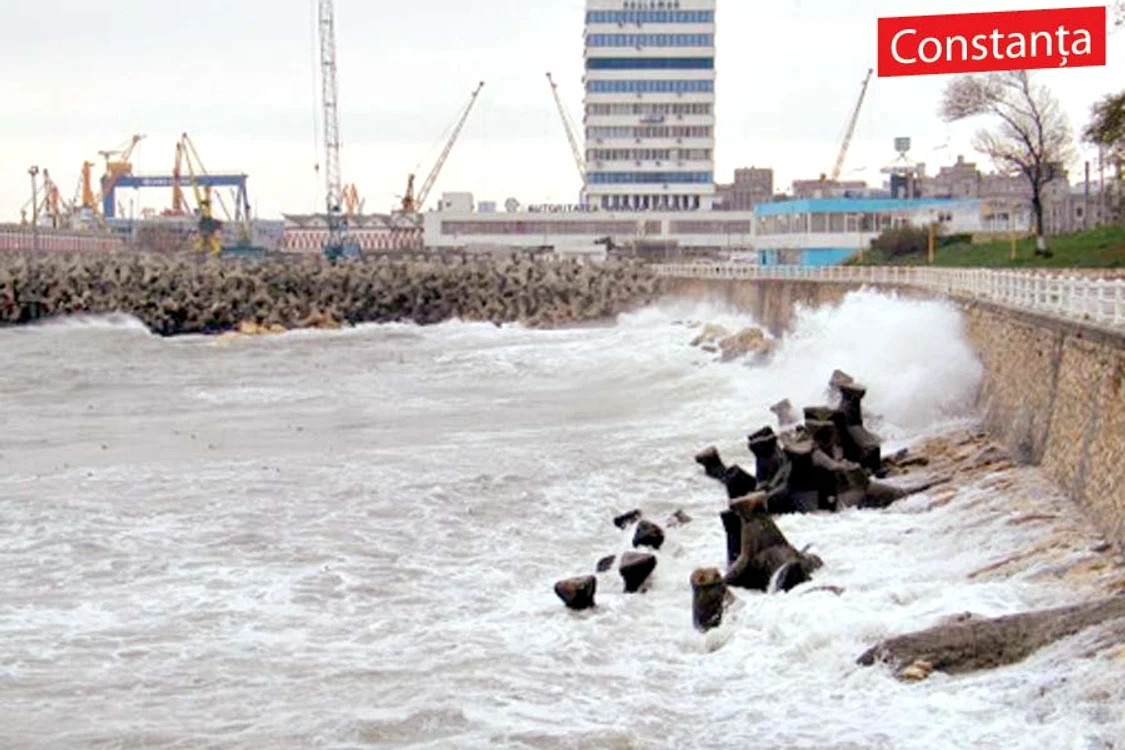 Copacii au fost smulşi din rădăcină şi au distrus maşinile parcate (Foto: Observator de Constanţa)
