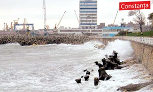Copacii au fost  smulşi din rădăcină  şi au distrus  maşinile parcate  (Foto: Observator de Constanţa) jpeg