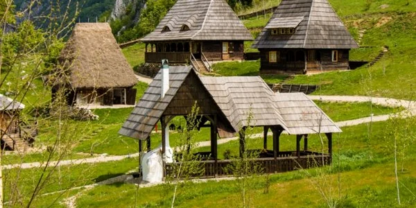 ravens nest