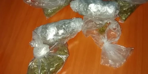 perchezitii D.I.I.C.O.T