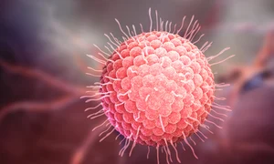 shutterstock 592242962 jpeg