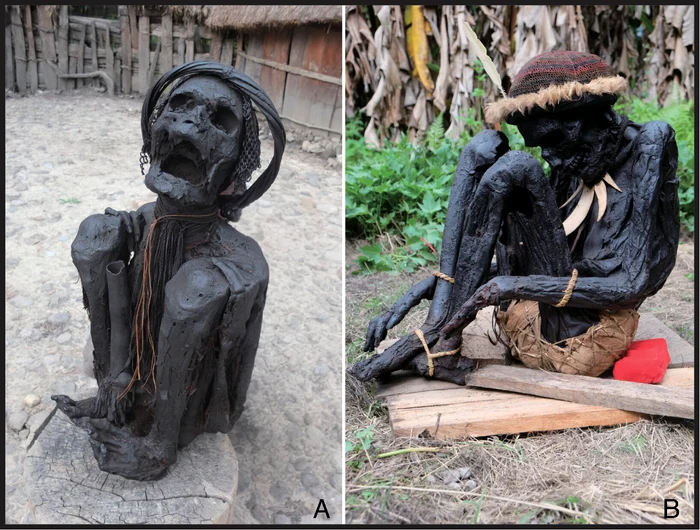 Mumiile vechi de 10.000 de ani din Papua-Indonezia, conservate prin afumare Foto PNAS org